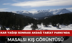 Akdağ Tabiat Parkı'nda masalsı kış görüntüsü