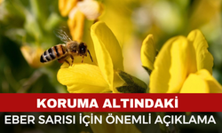 Koruma Altındaki ‘Eber Sarısı’yla ilgili önemli açıklama