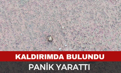 Afyon'da Kaldırımda Bulundu, Büyük Tehlike Atlatıldı