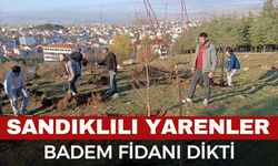 Sandıklı'da fidan dikildi