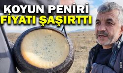 Afyonkarahisar'da koyun peyniri ne kadar ?