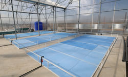 Türkiye’de Bir İlk! "Afyon’un Termal Suları Bu Kez Karides ve Balık İçin Isınıyor"