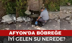 Afyon'un Şifalı Böbrek Suyu, Herkes Şifalı Böbrek Suyunun Peşinde, Şifalı Su Nerede?