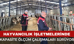 Afyon'da Hayvancılık İşletmelerinde Kapasite Ölçüm Çalışmaları Sürüyor
