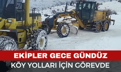 Afyon'da kar ekipleri görevde