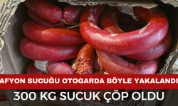 Afyon'dan Mersin'e Otobüsle Götürülen Sucuklar Çöp Oldu!