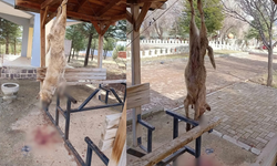 Afyon'da Köpeğe İşkence Edip Parka Astılar