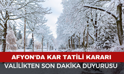 Afyonkarahisar'da Kar Tatili Kararı!