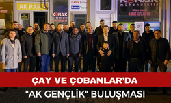 AK Gençlik Sahadan Kopmuyor! Mahalle Mahalle Geziyorlar