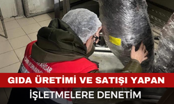 Afyon'da gıda üretimi ve satışı yapan işletmeler denetlendi