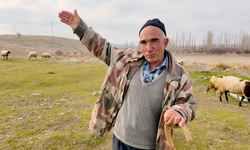 Bir Koyunla Başladı, 250 Koyunluk Sürüye Ulaştı: Kadir Bayram’ın Hayat Hikayesi