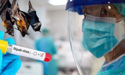 Nipah virüsü nedir, nasıl bulaşır, belirtileri nelerdir? Nipah virüsü Türkiye'de görüldü mü?