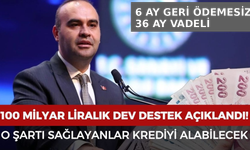 100 milyarlık dev destek açıklandı! O şartı sağlayan krediyi alacak