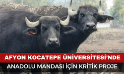 AKÜ’de Anadolu Mandası İçin Kritik Proje