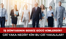Gri Yaka Nedir? İş Dünyasının Sessiz Gücü Kimlerdir? Beyaz Yaka ve Mavi Yaka İş Hayatının Neresinde?