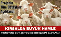 Kırsalda Bereket Küçükbaş Destek Projesi’nin Tüm Detayları Açıklandı