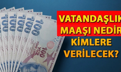 Vatandaşlık Maaşı Bu Yıl Başlıyor: Detayları Netleşti