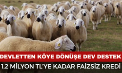 Şehirden Köye Dönenlere 1.2 Milyon Destek