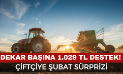 Dekar Başına 1.029 TL Destek! Çiftçiye Şubat Sürprizi: Ödemeler Hesaplara Yatıyor