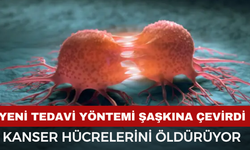 Yeni Tedavi Yaklaşımı Bilim Dünyasını Heyecanlandırdı