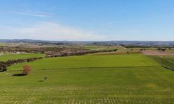 Afyon’da iki arsa icradan satışa çıktı: Bu rakamı ilk getiren alabilecek