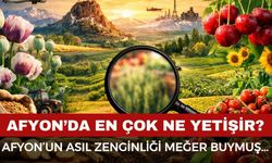Afyonkarahisar’da en çok ne yetişir?