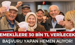 Emeklilere 30 bin TL verilecek: Başvuru yapan hemen alıyor