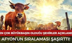 En çok büyükbaş hayvanın olduğu şehirler açıklandı: Afyonkarahisar kaçıncı sırada?