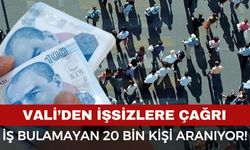 Vali’den iş arayan 20 bin kişiye çağrı: “İş bulamayan buraya gelsin!”