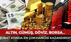 Şubat ayında en çok hangi yatırım kazandırdı?