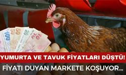 Tavuk ve yumurtanın fiyatı düştü: Duyan o markete koşuyor