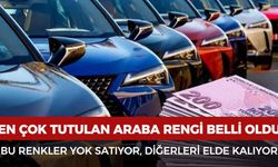 TÜİK açıkladı: Türkiye’de en çok tercih edilen otomobil rengi belli oldu
