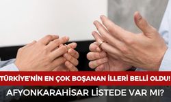 Türkiye'nin en çok boşanan illeri belli oldu: Afyon listede var mı?
