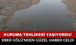 Kuruma Tehlikesi Yaşıyordu! Eber Gölü’nden Gelen Haber Herkesi Sevindirdi