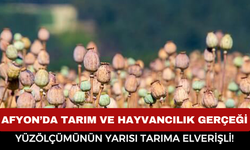 Afyonkarahisar’da Tarım Ve Hayvancılık Gerçeği: Yüzölçümünün Yarısı Tarıma Elverişli!