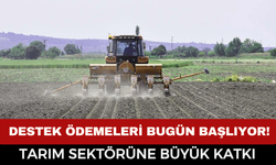 2026 Tarımsal Destek Ödemeleri Bugün Başlıyor! 12,3 Milyar TL Çiftçilerin Hesaplarına Yatıyor