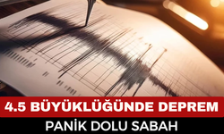 Son Dakika, 4.5 Büyüklüğünde Sarsıntı