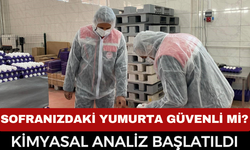 Afyonkarahisar’da Yumurta Paketleme Tesislerine Sıkı Denetim: Kimyasal Kalıntı Takibi Başladı!