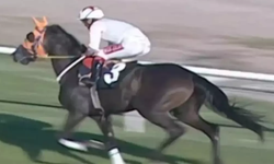 Mersin’de "At Eti" Tartışmasında Şok Sözler! Başkan Seçer: "Sadece Bizim Aşevine Değil, Sizin Evinize De Geliyor!"