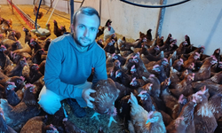 Ev Kiraları Genç Girişimciyi Köye Döndürdü: "Gezen Tavuk" Çiftliğiyle Yeni Hayat