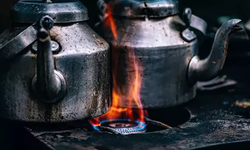 Bilim İnsanları Açıkladı! En Sağlıklı Çaydanlık Hangisi? İşte Antioksidan Şampiyonu O Demlik