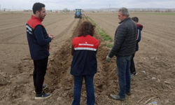 Afyonkarahisar’da Patates Mesaisi Başladı! Toprak Bereketle Buluşuyor: Teknik Ekipler Sahada