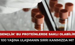 100 Yaşına Kadar Yaşamanın Sırrı Çözülüyor mu? Bilim İnsanları Kanda Dikkat Çeken Proteinleri Keşfetti