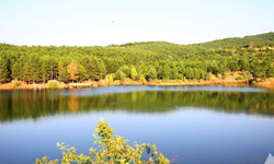 Milli parklar gerçekten satılıyor mu? AK Parti Afyonkarahisar İl Başkanlığı açıklama yaptı