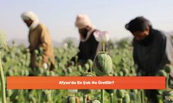 Afyon'da En Çok Ne Üretilir?