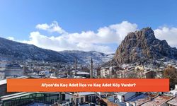 Afyon'da Kaç Adet İlçe ve Kaç Adet Köy Vardır?
