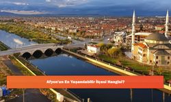 Afyon'un En Yaşanılabilir İlçesi Hangisi?