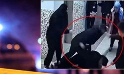 Ardahan Vali Yardımcısı B.K kimdir, Ardahan Vali Yardımcısı sekreterinin kocası tarafından bıçaklı saldırıya mı uğradı?