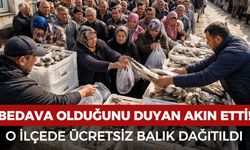 Bedava olduğunu duyan akın etti! O ilçede balık ücretsiz dağıtıldı