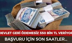 Devlet geri ödemesiz 550 bin TL veriyor: Başvuru için son saatler...
